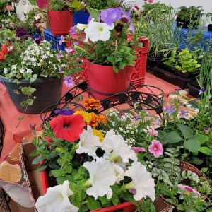 La Pine Grange Plant Sale